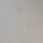 A white wall with some small footprints on it